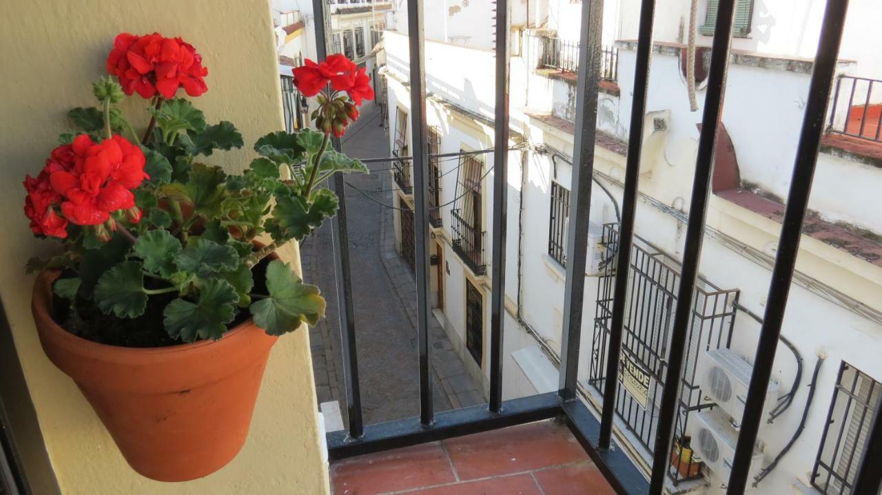 Patios De San Andres Leilighet Córdoba Eksteriør bilde